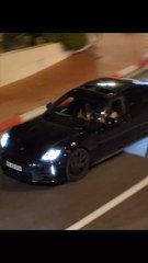 # radar. #. police. #.  monaco.   #. lulu du jura