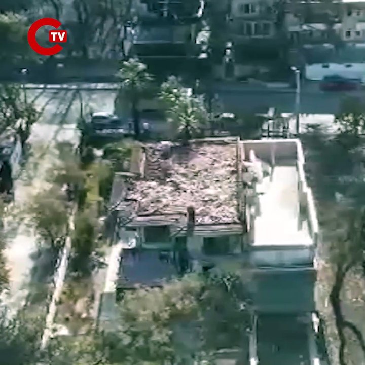 Orman yangınları sonrası korunmasız hale gelen yaban hayvanları için 'av yasağı' çağrısı