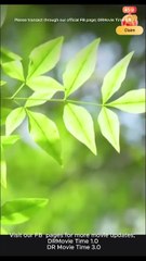 SON IN LAW NO HEIR TO BILLIONS