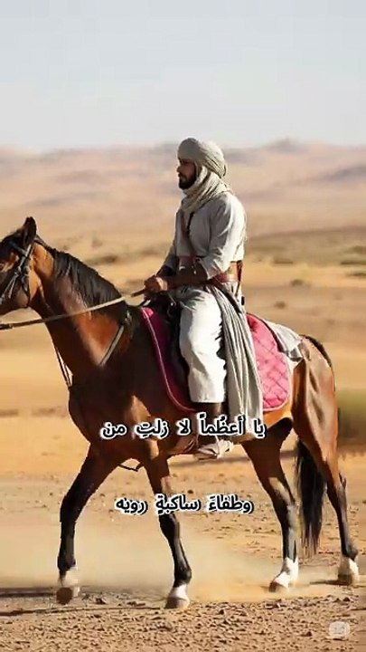 أمرر على جدث الحسين #الزيارة_الاربعينية #باسم_الكربلائي