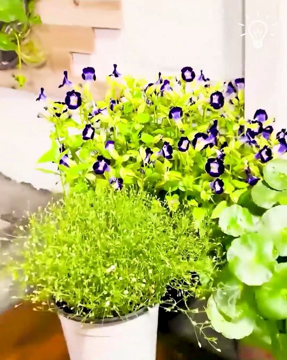 Woman completes the ultimate home makeover! ✨