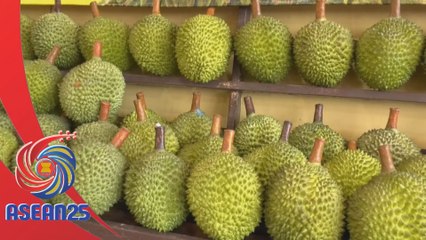 Vietnam bangunkan peta pencemaran kadmium, lindungi eksport