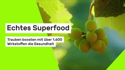 Echtes Superfood: Trauben boosten mit über 1.600 Wirkstoffen die Gesundheit