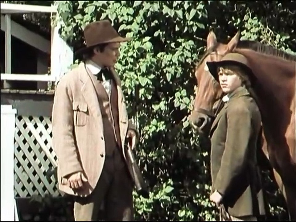 Tom Sawyer und Huckleberry Finn E18-Gefährliche Freunde