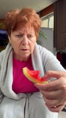 Un voleur à 4 pattes ? ! (1)