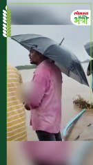 अतिवृष्टीने शेतकऱ्यांवर संकट; ऐन पोळ्याच्या तोंडावर मुक्या जीवांची आहुती