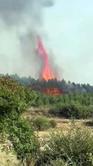 El fuego de Canalejas en Calaveras de Arriba