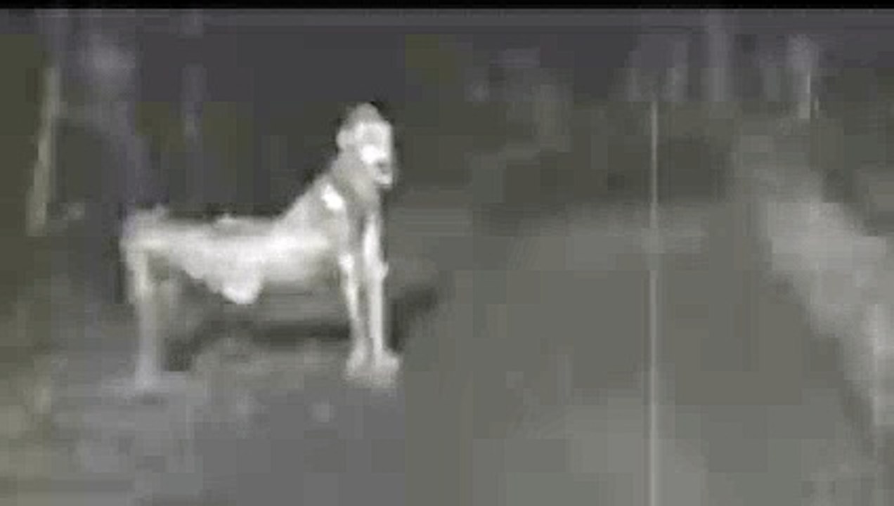 Soy Trailero y la Empresa Donde Trabajo Tiene Algunas Reglas Extrañas - Voces del abismo (240p, h264)