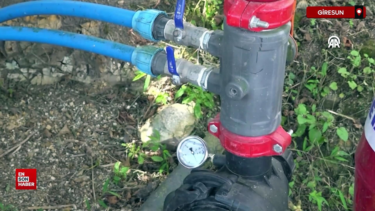 Giresun'da fındık bahçesine damla sulama sistemi kurdular: Verim ikiye katlandı