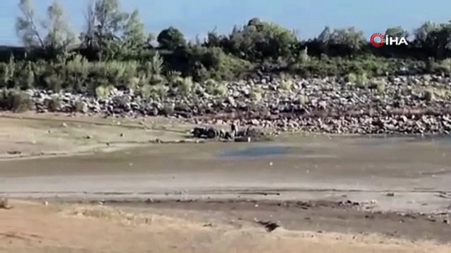 43 yıldır sulama yapılan gölet suyunu çekti