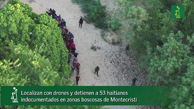 Localizan con drones y detienen a 53 haitianos indocumentados en zonas boscosas de Montecristi-