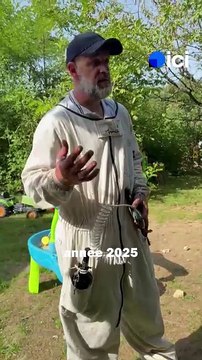 En Nord Franche-Comté, il détruit des nids de frelons asiatiques au paintball