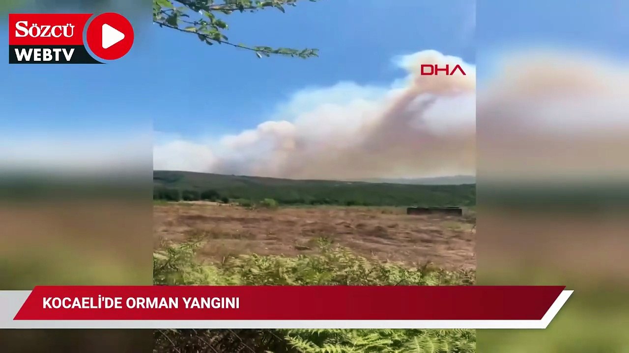Kocaeli'de orman yangını: Alevler yerleşim yerlerine yaklaştı