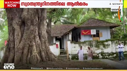 രാജ്യത്തിന് സ്വാതന്ത്ര്യം ലഭിച്ച അതേ ദിനം നട്ട ആൽമരം...; അങ്ങ് ഡൽഹിയില്ല, ഇങ്ങ് പാലക്കാട് വടവന്നൂരിൽ