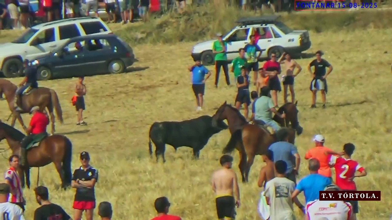 Fontanar Encierro Campo 15-08-2025