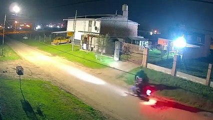 "Acero" el Pitbull que frustró asalto: “Corrió hacia los ladrones y se escaparon”