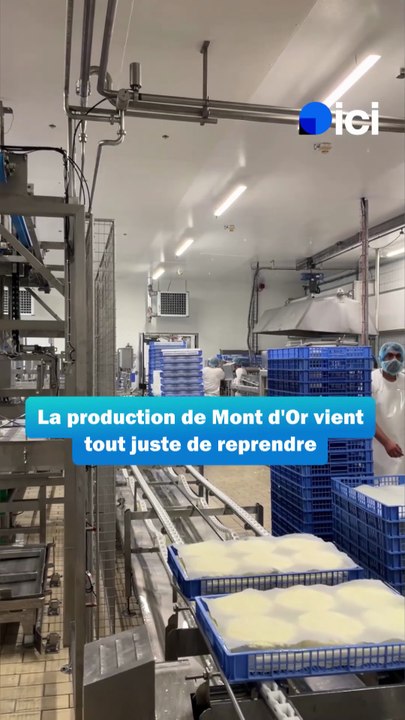 La production de Mont d'Or a repris à la fromagerie Badoz