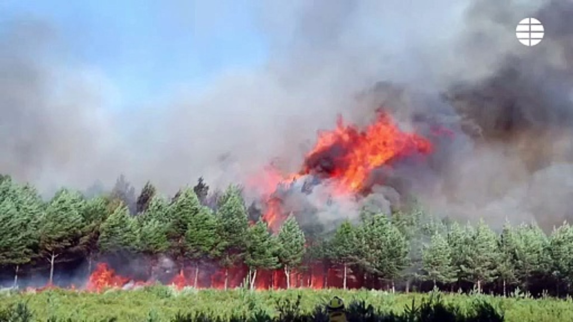 El fuego de Ourense y Zamora sigue descontrolado. La ola de incendios llega este viernes a su s�ptimo d�a. 

Aunque la situaci�n de algunos es algo m�s favorable a�n hay 16 incendios activos en situaci�n operativa 2. Preocupa la zona de Ourense, desde donde el fuego ha llegado a Zamora.