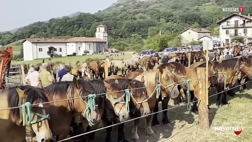 Amaiur vive un caluroso Día del Pastor