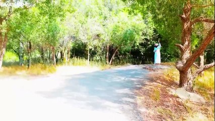 New Rabi ul Awal Naat _ Barwein Ka Noor Dil Pe Chah Gaya (New Version) _ Muhammad Ashfaq Attari (1)