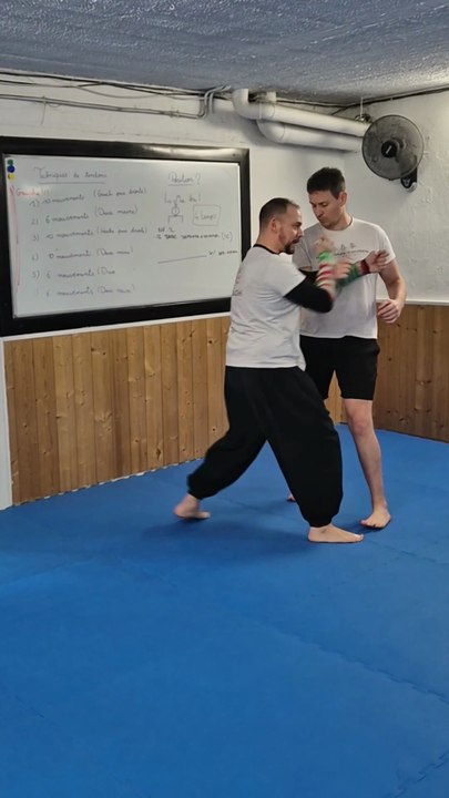 From Chum-Kiu to Siu Lim Tao Wing Chun concepts