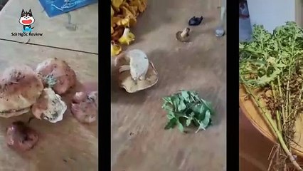 Cô Gái Giàu Có Sinh Tồn 21 Ngày Cùng Với 1 Người Đàn Ông Ở Châu Phi