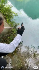 follow for more inspiring and beautiful videos