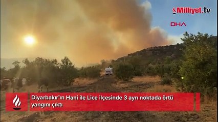 Diyarbakır’da 3 noktada örtü yangını