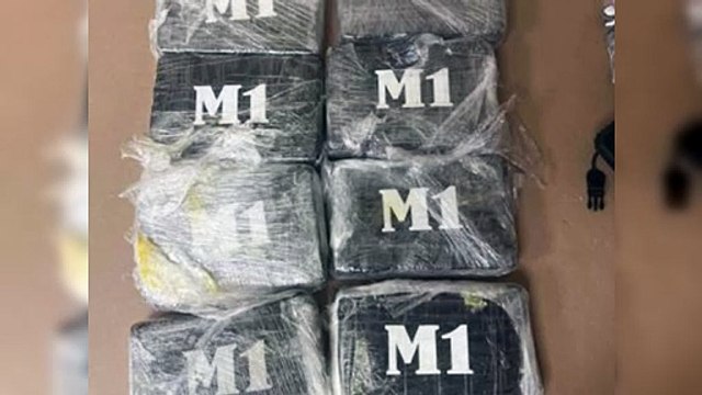 Decomisan ocho paquetes de cocaína que serían enviados a España