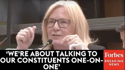 'For Them, It's Political Theater': Michelle Fischbach Slams Lack Of 'Constructive' Dem Town Halls