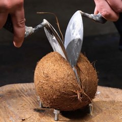 It's an awesome ring made from a coconut shell