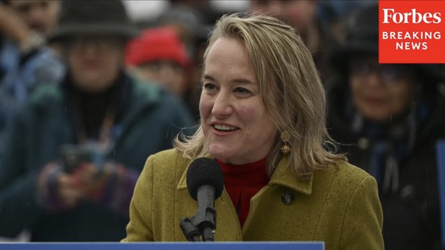 Nikki Budzinski Pushes To Expand Mental Health Outreach For Veterans