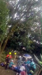 Accidente de avión sorprendió a los visitantes de parque en Laureles