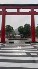 Beauty of Kamakura 鎌倉#Kamakura #鎌倉 #kanagawa