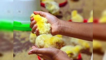 Cómo participar en los “Sábados Familiar” de Sanut