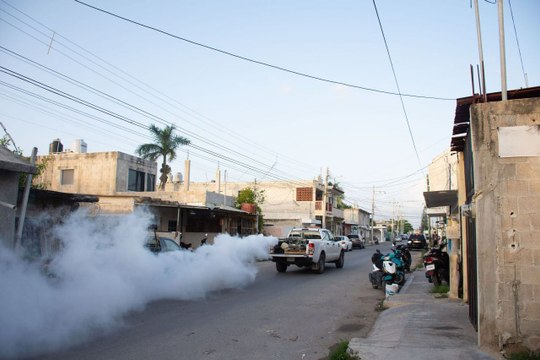 Seyé comienza con jornadas de fumigación para combatir enfermedades transmitidas por vector