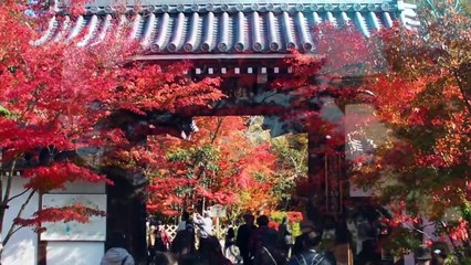 【ﾌﾟﾗｲﾍﾞｰﾄ旅】そうだ京都行こう2012-11