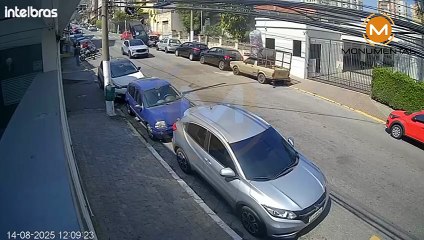 Salió volando