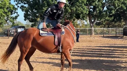 A group of dedicated students have created the first North Queensland high school campdraft