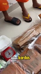 2 Mantan Mahasiswa UIN Suska Sembunyikan Ganja di Kampus Terancam Hukuman Mati