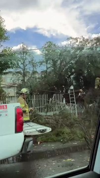 Varios daños en el Centro de Durango por intensa lluvia este 15 de agosto