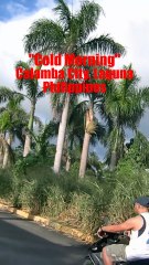 Cold Morning in Calamba City in Laguna in the Philippines