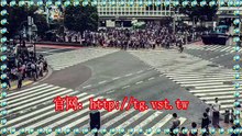 Telegram加好友,电报(TG)活粉采集,电报(TG)机器人,Telegram群发.