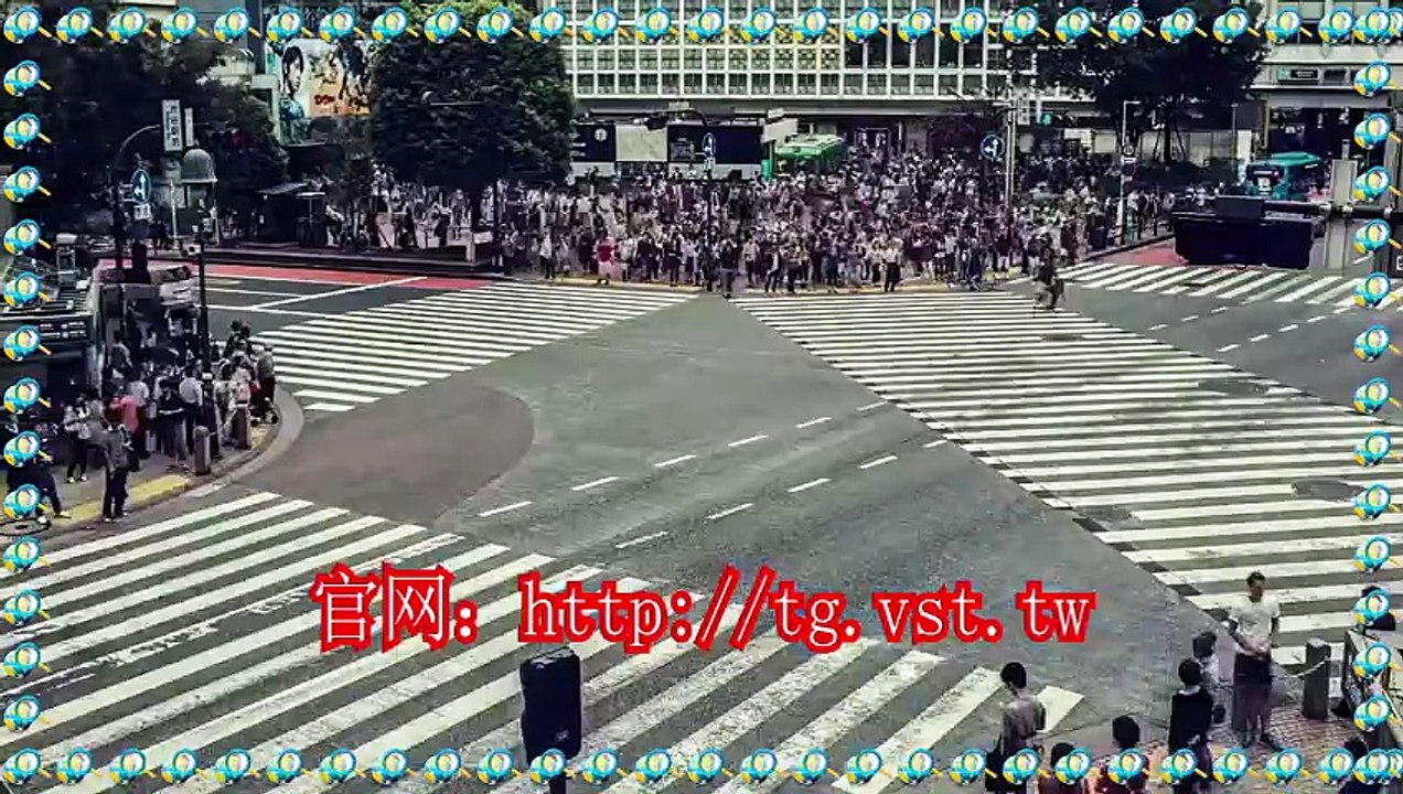 Telegram加好友,电报(TG)活粉采集,电报(TG)机器人,Telegram群发.