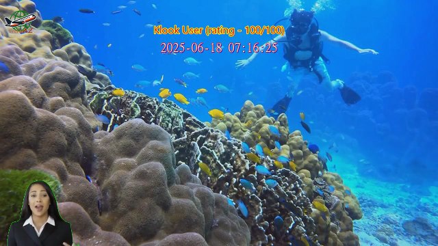 Review Full Day Racha Yai Scuba Diving Course All Inclusive from Phuket