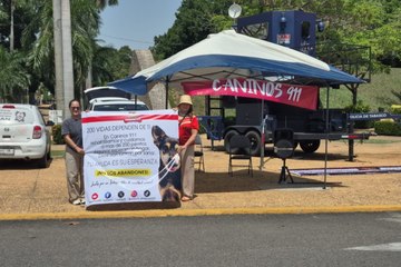 Mil 200 perritos ha rescatado por “Caninos 911” en Tabasco, pero ahora necesitan ayuda