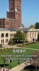 Torn Between Love And Lies Full Chinese Drama