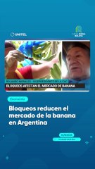 Bloqueos reducen el mercado de la banana en Argentina