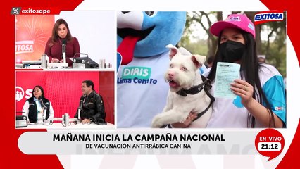 Lanzan campaña de vacunación antirrábica canina desde el 16 de agosto en Lima Centro