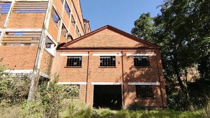 ENCONTREI UM ANIMAL SINISTRO, E DEPOIS FUI DESCOBRIR A ORIGEM DAS BATIDAS